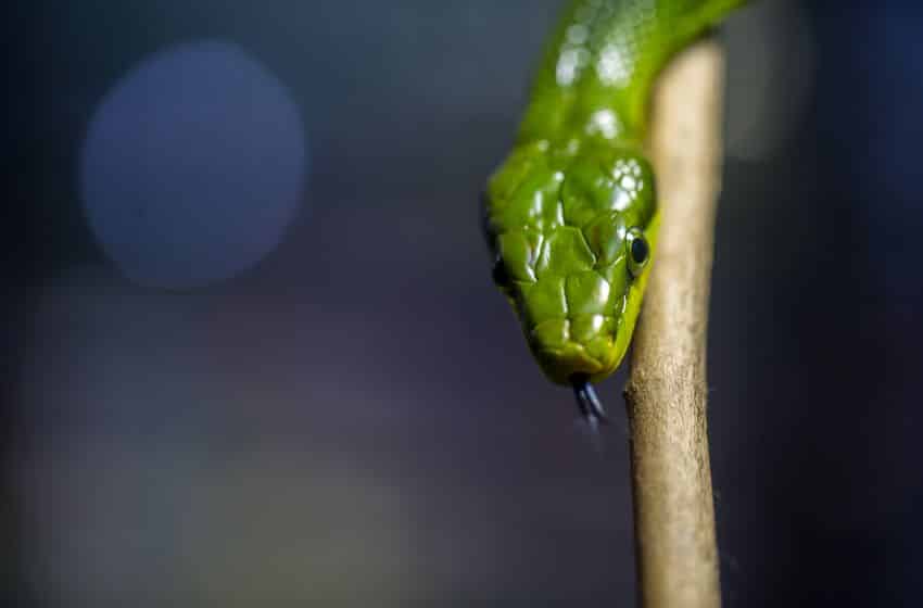 UNESCO report on threat against women