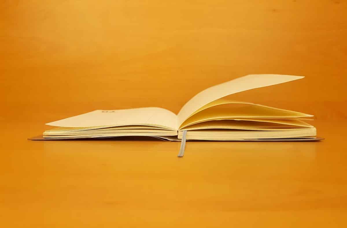 Salman Rushdies next book as series on Substack