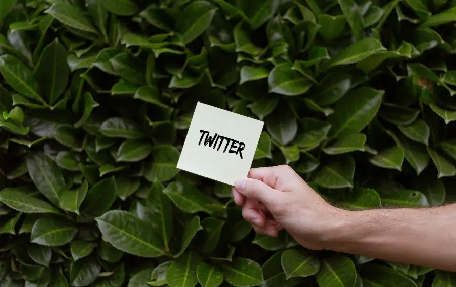Twitter diversity data