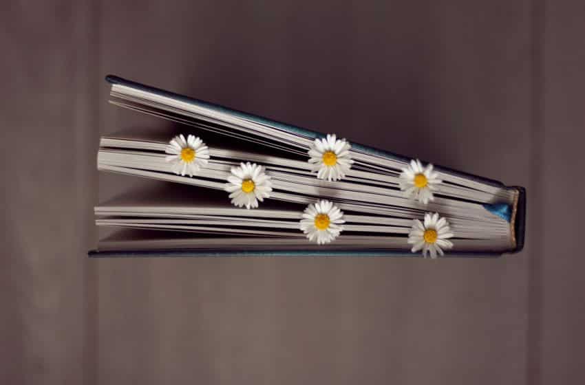 The week that was - week 18