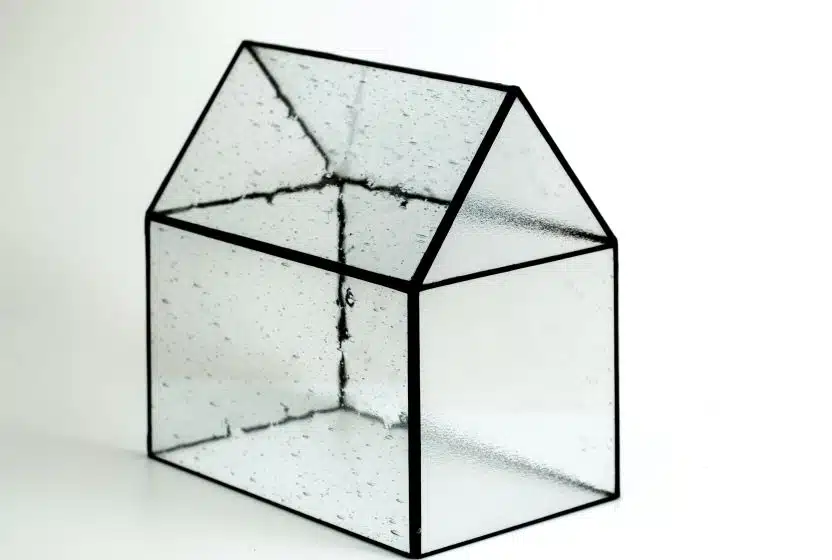 Transparency rules for AI